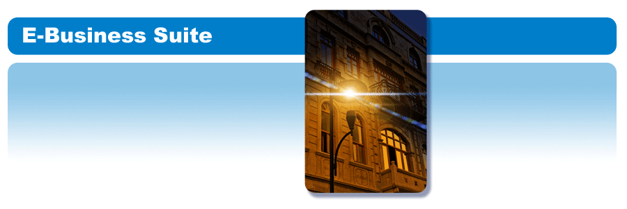 E-Business Suite